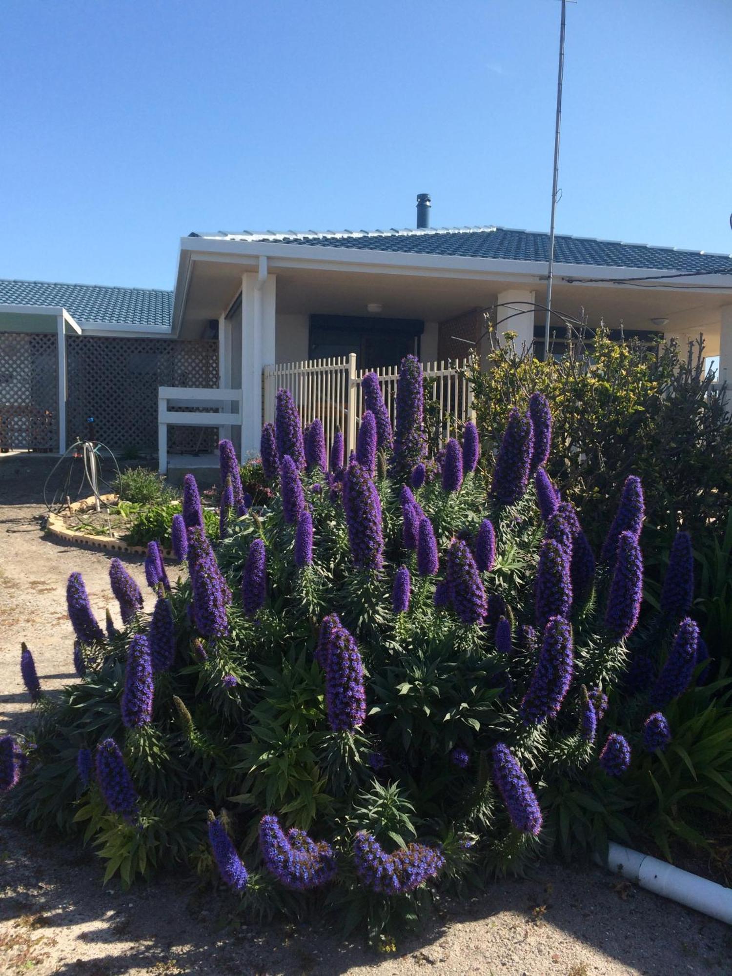 Salty Air Apartments Kingscote Kangaroo Island Екстер'єр фото